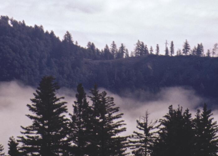 California Siskiyou national forest