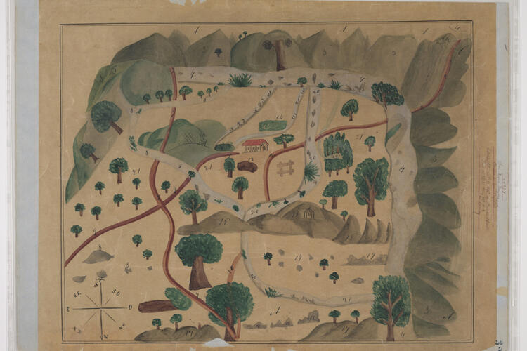 Sketch map of Rancho San Miguelito de Trinidad