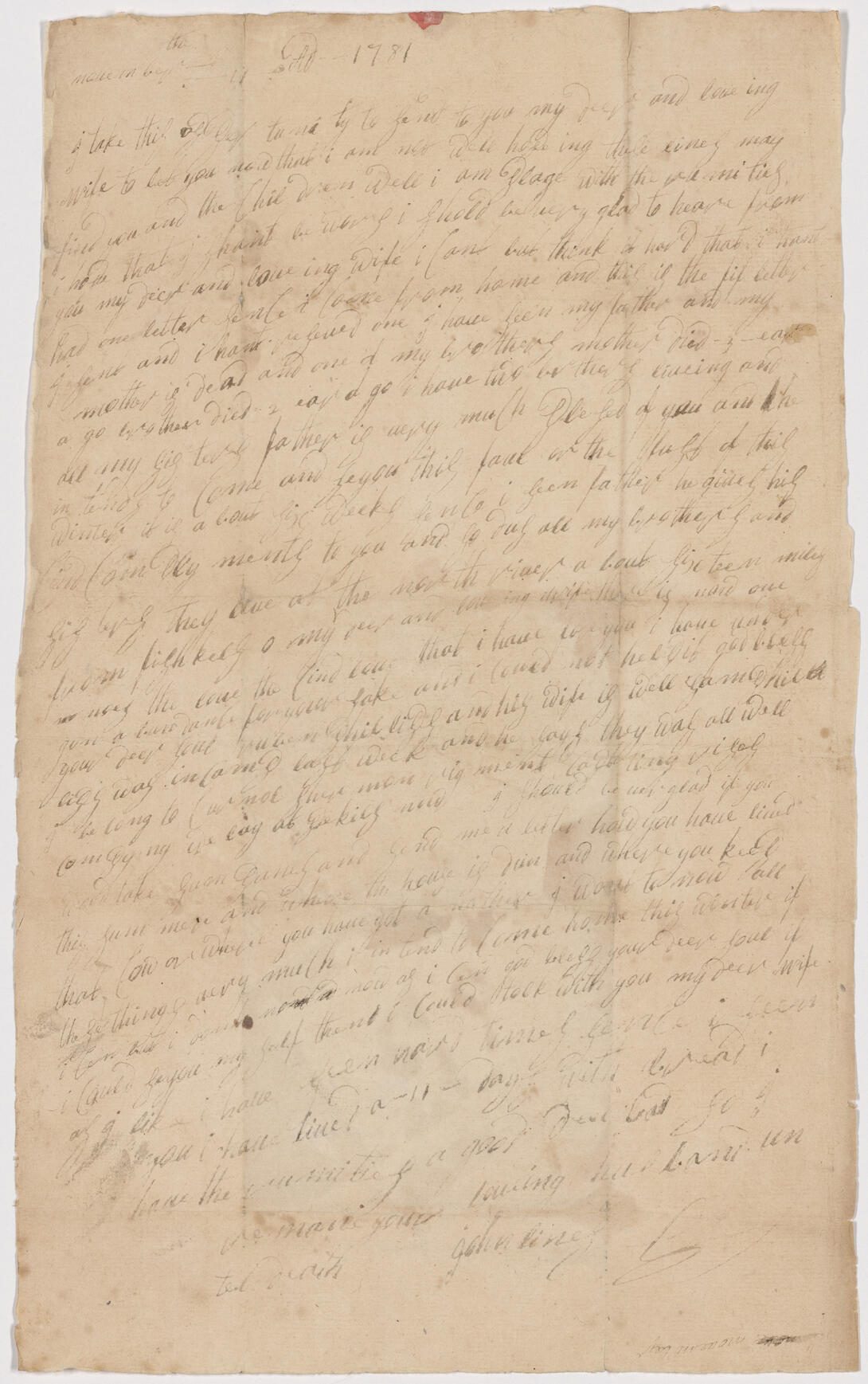 Handwritten letter from Private John Lines to Judith Lines, dated November 11, 1781. The letter is written in English in cursive script on a single sheet of aged, light-colored paper. 